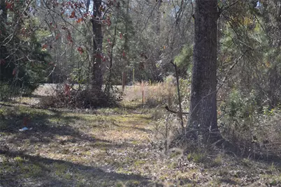 000 Central Drive, Coldspring, TX 77331 - Photo 35