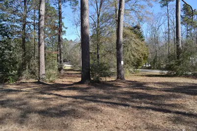 000 Central Drive, Coldspring, TX 77331 - Photo 5