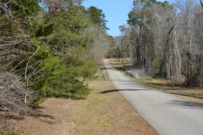 000 Central Drive, Coldspring, TX 77331 - Photo 3