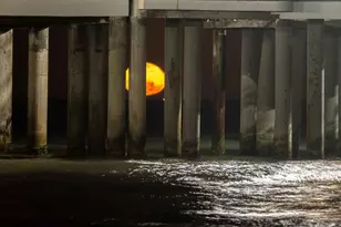 9420 Seawall Blvd, Galveston, TX 77554 - Photo 19