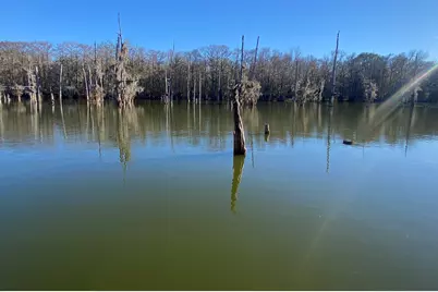 301 Ferguson, Cleveland, TX 77327 - Photo 7