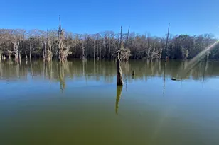 301 Ferguson, Cleveland, TX 77327 - Photo 7