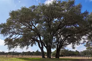 415 Co Rd 457, Hallettsville, TX 77964 - Photo 27