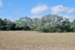 415 Co Rd 457, Hallettsville, TX 77964 - Photo 5