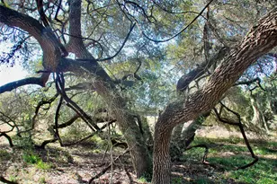 415 Co Rd 457, Hallettsville, TX 77964 - Photo 49