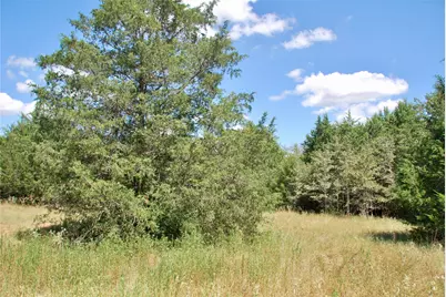 Tbd Rosanky Road, Flatonia, TX 78941 - Photo 15