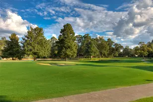 711 Stonewall Jackson Ct, Conroe, TX 77302 - Photo 43