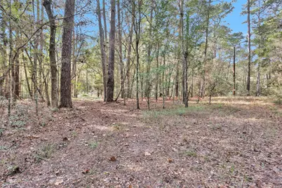 7415 Honea Egypt, Montgomery, TX 77316 - Photo 9