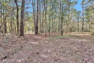 7415 Honea Egypt, Montgomery, TX 77316 - Photo 9