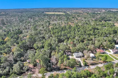 7415 Honea Egypt, Montgomery, TX 77316 - Photo 45