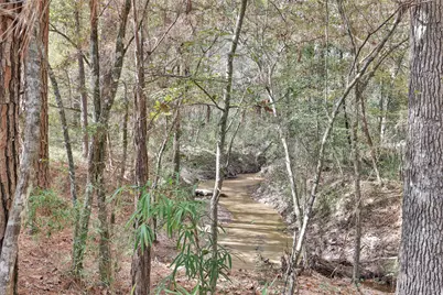 7415 Honea Egypt, Montgomery, TX 77316 - Photo 43