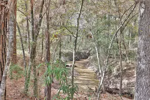 7415 Honea Egypt, Montgomery, TX 77316 - Photo 43