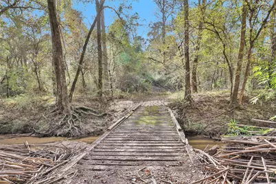 7415 Honea Egypt, Montgomery, TX 77316 - Photo 11