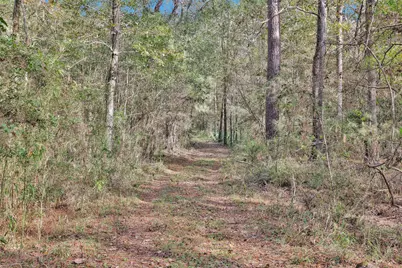 7415 Honea Egypt, Montgomery, TX 77316 - Photo 17