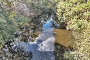 7415 Honea Egypt, Montgomery, TX 77316 - Photo 47