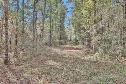 7415 Honea Egypt, Montgomery, TX 77316 - Photo 5