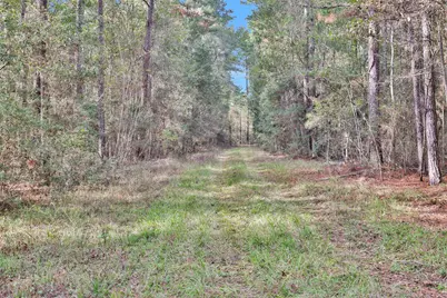 7415 Honea Egypt, Montgomery, TX 77316 - Photo 7