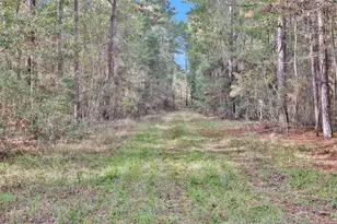 7415 Honea Egypt, Montgomery, TX 77316 - Photo 7