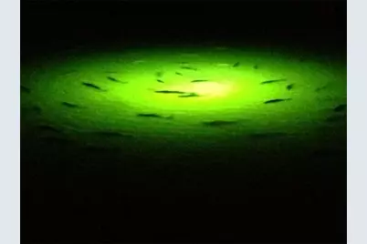 3 Ramrod, Hitchcock, TX 77563 - Photo 43