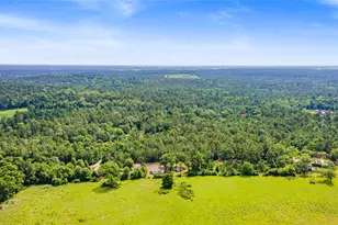 223 Rush Creek Ln, Trinity, TX 75862 - Photo 21