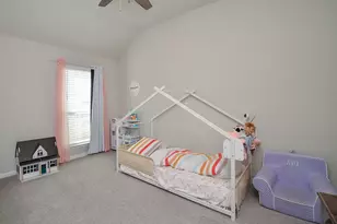 30247 Gold Finch Pl, Fulshear, TX 77441 - Photo 23