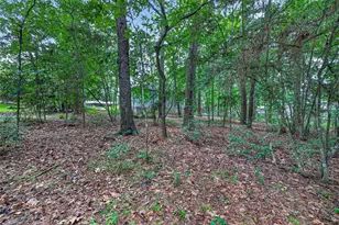 130 N Fairway Loop, Coldspring, TX 77331 - Photo 49