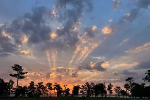 14422 Lakeside Terrace Dr, Houston, TX 77044 - Photo 31