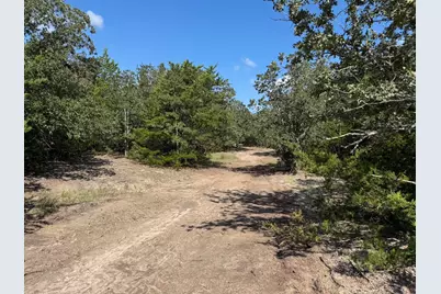 13115 Schoenemann Road, Carmine, TX 78932 - Photo 5