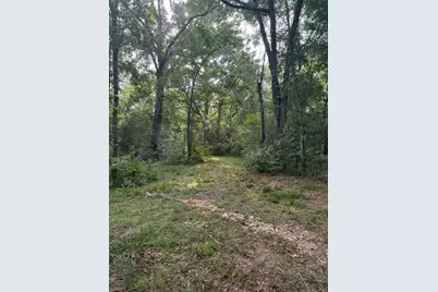 25571 Kimbro Road, Hockley, TX 77447 - Photo 5