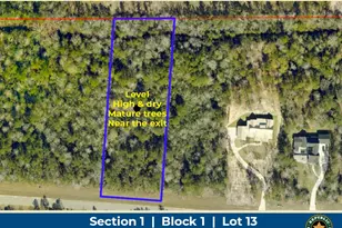 10633 Ruger Rd, Willis, TX 77378 - Photo 1