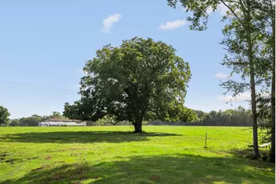 18121 Highway 105 E, Plantersville, TX 77363 - Photo 3