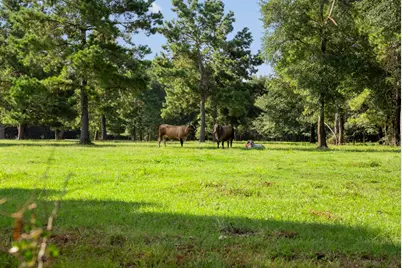 18121 Highway 105 E, Plantersville, TX 77363 - Photo 11