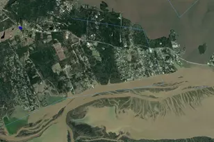 3340 FM356, Trinity, TX 75862 - Photo 7