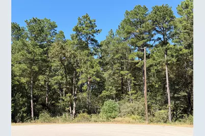 44-37-14 Larkspur Lane, New Waverly, TX 77358 - Photo 3
