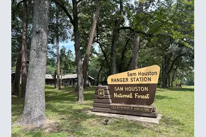 19576 Stripe Hill Bend, Montgomery, TX 77316 - Photo 41