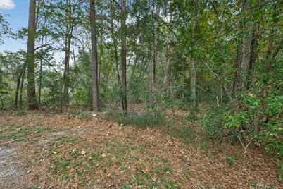 Lot 411 North Woods, Cleveland, TX 77328 - Photo 3