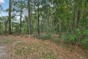 Lot 411 North Woods, Cleveland, TX 77328 - Photo 3