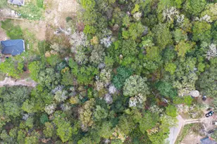 Lot 411 North Woods, Cleveland, TX 77328 - Photo 11