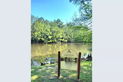 158 N Whistlers Bend Circle, The Woodlands, TX 77384 - Photo 37