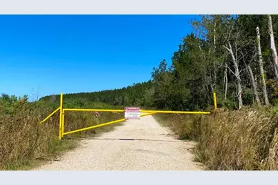 000000000000 N Gate Road,  North Of Highway 90, Daisetta, TX 77533 - Photo 1