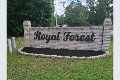10796 Royal Magnolia, Conroe, TX 77303 - Photo 19