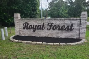 10796 Royal Magnolia, Conroe, TX 77303 - Photo 19