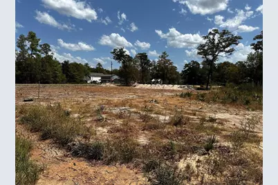 17123 Spindle Oaks Drive, Conroe, TX 77385 - Photo 1