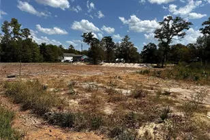 17123 Spindle Oaks Dr, Conroe, TX 77385 - Photo 1