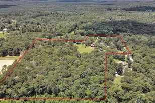 388 N G Smith Rd, Livingston, TX 77351 - Photo 45