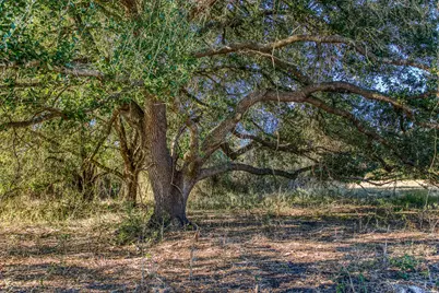 Tbd Pleasant Hill School Road, Brenham, TX 77833 - Photo 15
