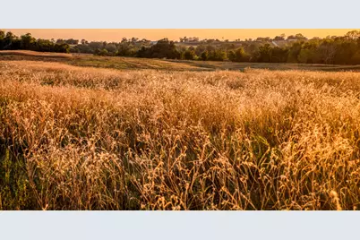 Tbd Pleasant Hill School Road, Brenham, TX 77833 - Photo 11