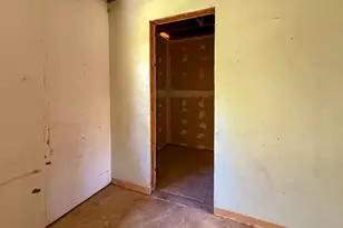 142 W Hickory Cv, Onalaska, TX 77360 - Photo 9