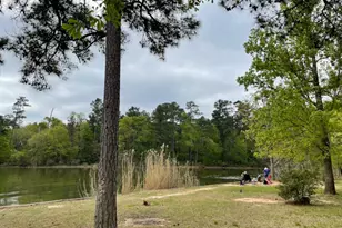 19657 Montgomery Rdg Wy, Montgomery, TX 77316 - Photo 5