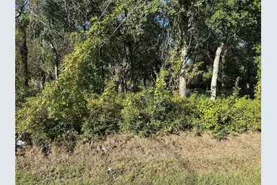 402 Wells Street, Spring, TX 77373 - Photo 9